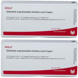 WALA® Glandula Supraren. Sinis. cum Cupro Amp.