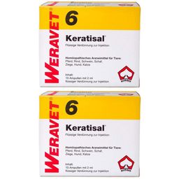 WERAVET® KERATISAL® 6