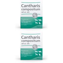 Cantharis compositum ad us. vet.
