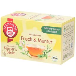 TEEKANNE BIO Frisch & Munter