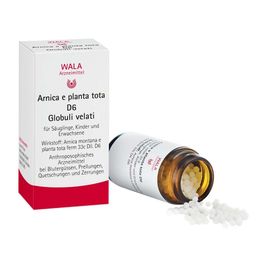 WALA® Arnica E Planta tota D 6 Globuli