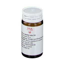 WALA® Arnica E Planta tota D 6 Globuli 20 g - Shop Apotheke