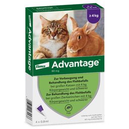 Advantage® 80 mg für Katzen und Zierkaninchen über 4 kg Körpergewicht