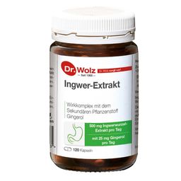 Ingwer-Extrakt