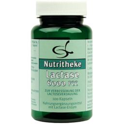 green line NUTRITHEKE LACTASE 6000 FCC