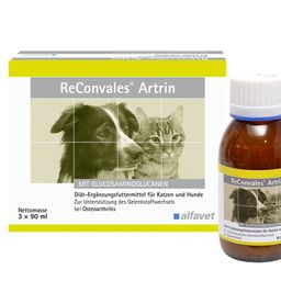 ReConvales® Artrin