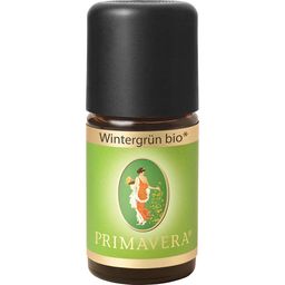 PRIMAVERA® Wintergrün
