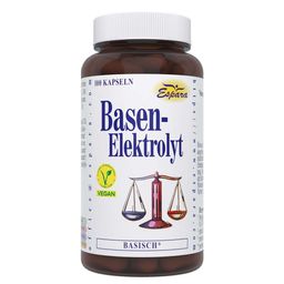 Basen-Elektrolyt