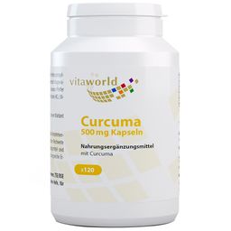 VitaWorld Curcumin 500