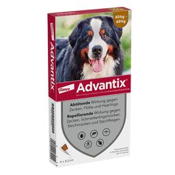 Advantix Spot-On 600 für sehr große Hunde bis 60 kg Körpergewicht gegen Zecken, Flöhe und fliegende Insekten, bis zu 4 Wochen Wirksamkeit