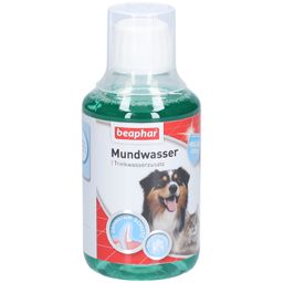 Beaphar Mundwasser für Hunde