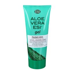 kaktus aloe vera pflege Aloe vera - Aloe vera
