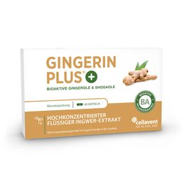 Gingerin PLUS BIO Ingwer Kapseln - 22.000 mg Ingwerpulver