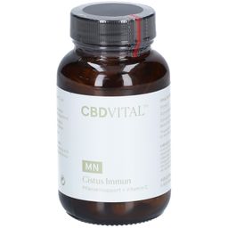 CBD VITAL Cistus Immun Kapseln
