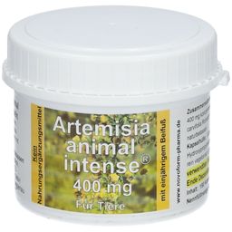 Artemisia animal intense® 400mg für Tiere