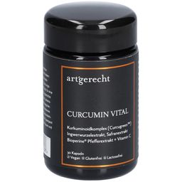 artgerecht Curcumin Vital