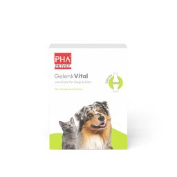 PHA Gelenk Vital für Hunde und Katzen