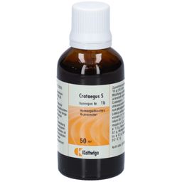 Synergon Komplex Nr. 1b Crataegus S
