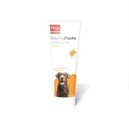PetVet PHA GastroPaste für Hunde
