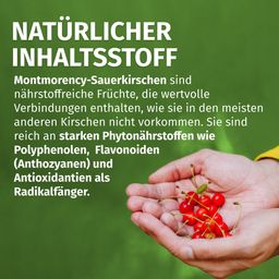 GREEN NATURALS® Cherry Montmorency Sauerkirsche - 2100 mg pro Tagesdosis - vegan