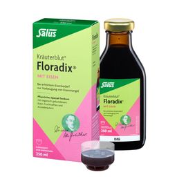 Salus Kräuterblut Floradix mit Eisen