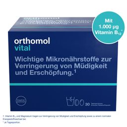 Orthomol Vital - Mikronährstoffe bei Müdigkeit und Erschöpfung - mit B-Vitaminen, Omega-3 und Magnesium - Granulat Grapefruit - Jetzt 10% mit dem Code orthomol10 sparen*