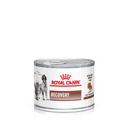 ROYAL CANIN® Recovery Ultra weicher Schaum Hund und Katze
