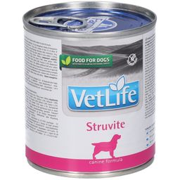 Nassfutter Katze Farmina VetLife - Struvite