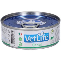 Nassfutter Farmina VetLife Renal - Katze Adult