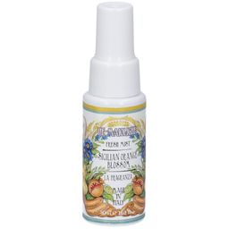 Rudy Profumi Spray Igienizzante Mani Linea Fiori d´Arancio di Sicilia