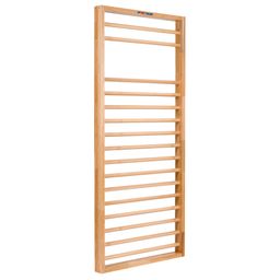 Sport-Thieme Turnwand-Einzelelement TuWa Sprossenwand U3