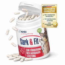 GIGI VET Stark & Fit Für Hunde und Katzen Aktiviert den Fettstoffwechsel Ideal bei Gewichtsreduktion