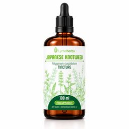 Lymeherbs Japanischer Staudenknöterich 1:2
