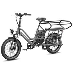 Fafrees FF20 CUV Elektrisches Lastenrad, 15-Ah-Doppelakku