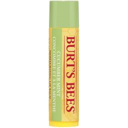 Burt's Bees Gurke & Minze Lippenbalsam Stick