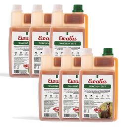 EWALIA Shakingsaft für Pferde Sechserpack