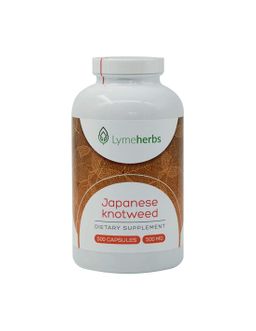 Lymeherbs Japanische Staudenknöterich standardisiert auf 10 % Resveratrol