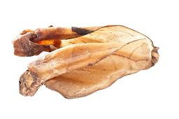 mascota vital - Rinderohren mit Muschel