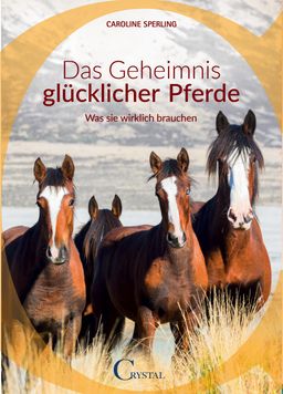 Das Geheimnis glücklicher Pferde Was sie wirklich brauchen