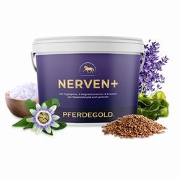 Pferdegold Nerven+