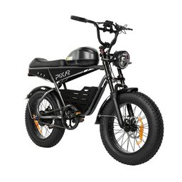 PIXAR SuperV Elektrisches Dirtbike mit 48V 30AH Akku