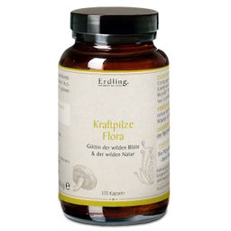 Erdling BIO Kraftpilze Flora – Vitalpilz Synergetikum
