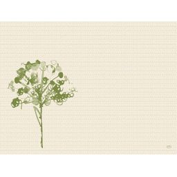 Bio-Dunicel-Sets 30x40