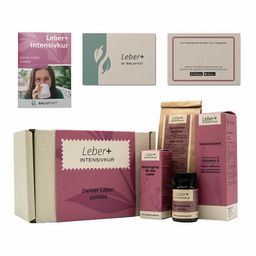 Salufast Leber+ Box - 14-Tage Intensivkur