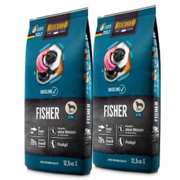 Belcando Fisher
