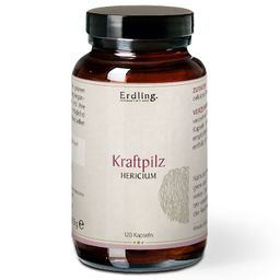 Erdling BIO Kraftpilz Hericium