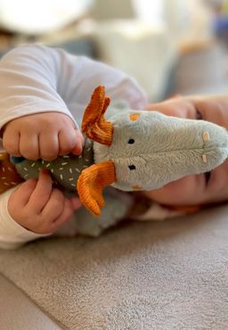SIGIKID Klett-Drache