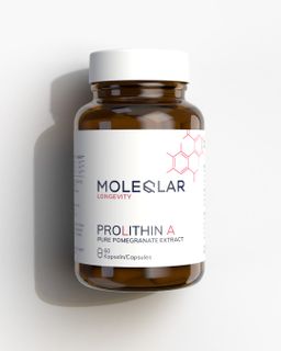 MoleQlar Prolithin A® (Urolithin Vorstufe)