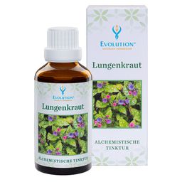 Evolution Lungenkraut Tinktur