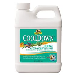 Absorbine Cool Down Waschlotion